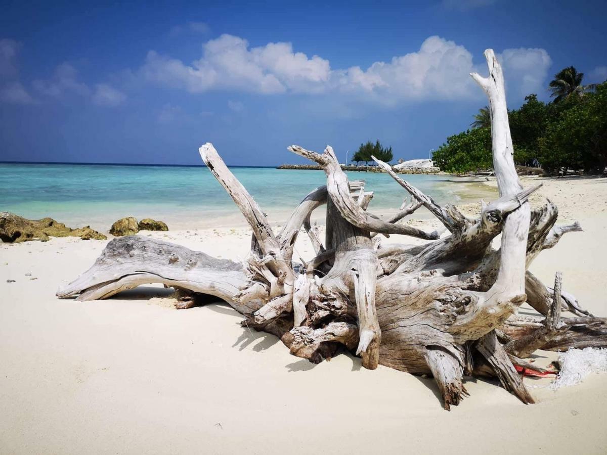 String Wave Maldives Hotel Bãi biển Bãi biển Gulhi Ngoại thất bức ảnh